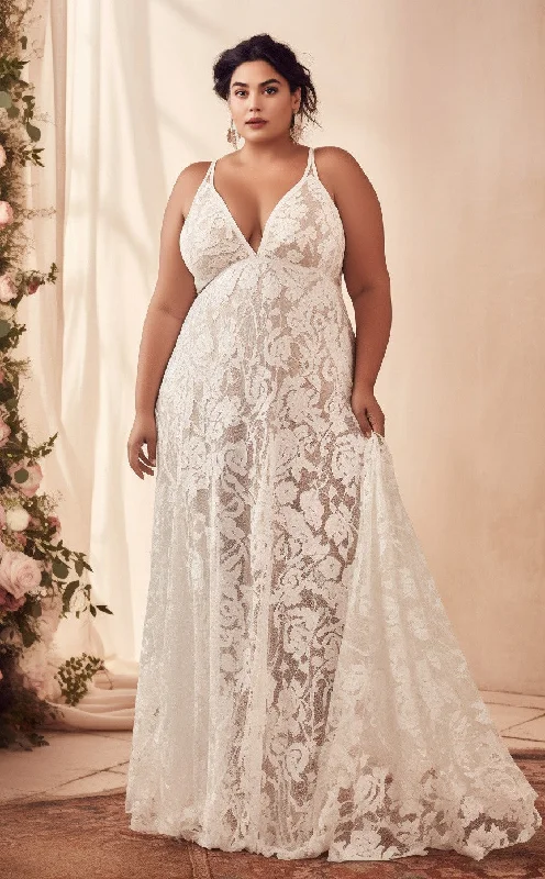 Floral Beach Plus Size Casual A-Line Boho Lace Maxi Wedding Dress with Plunging Neckline and Empire Waist Lace A-line Dress